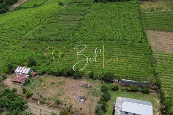 Imagem principal do Terreno Monte Belo do Sul