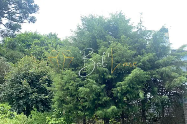 Imagem principal do Terreno Panazzolo