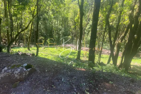 Imagem principal do Terreno Condado Angel